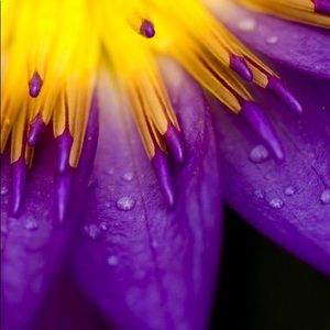 Meet your Posher, Yairy